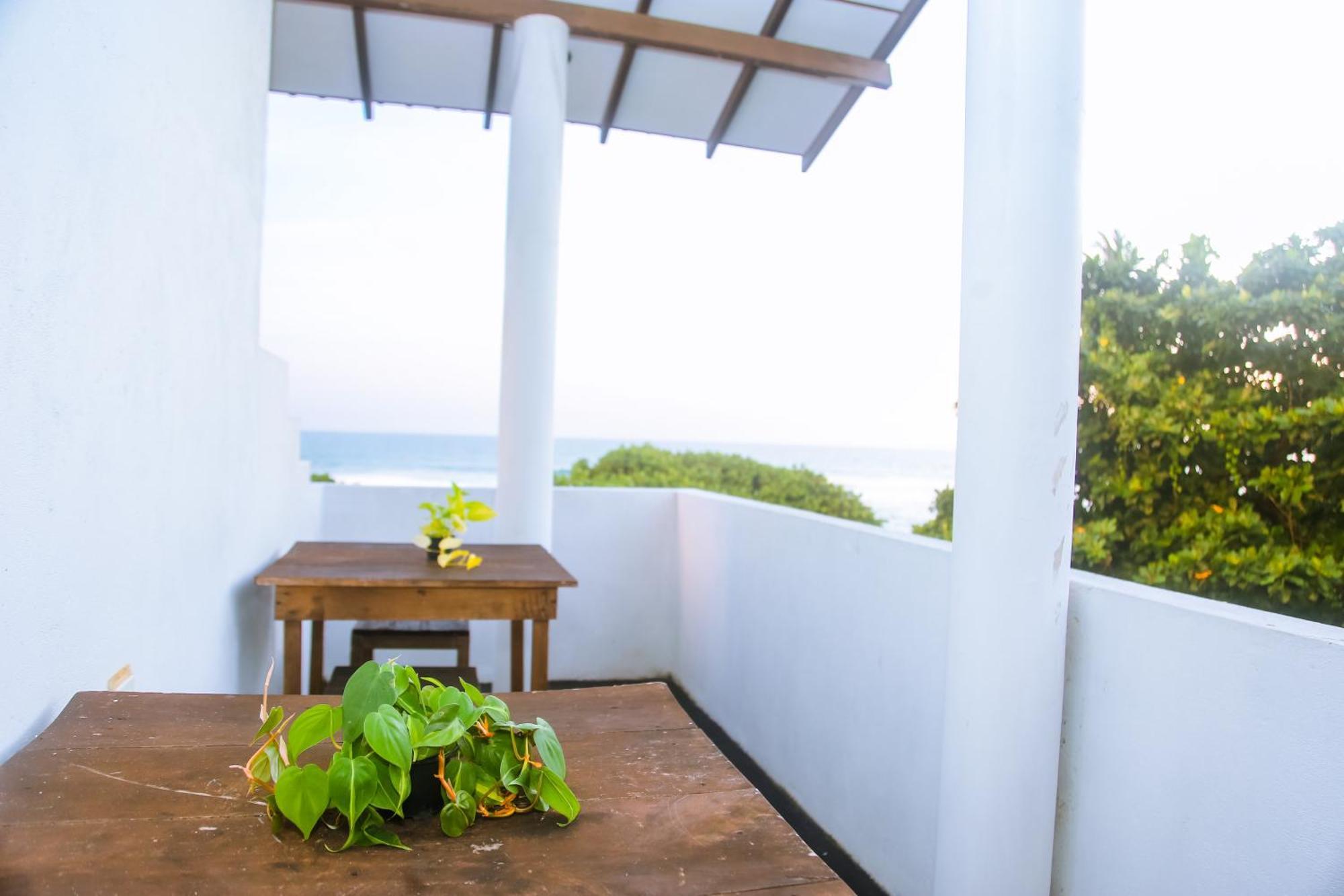 Hotel Mirissa Turtle Point Guest Exteriér fotografie